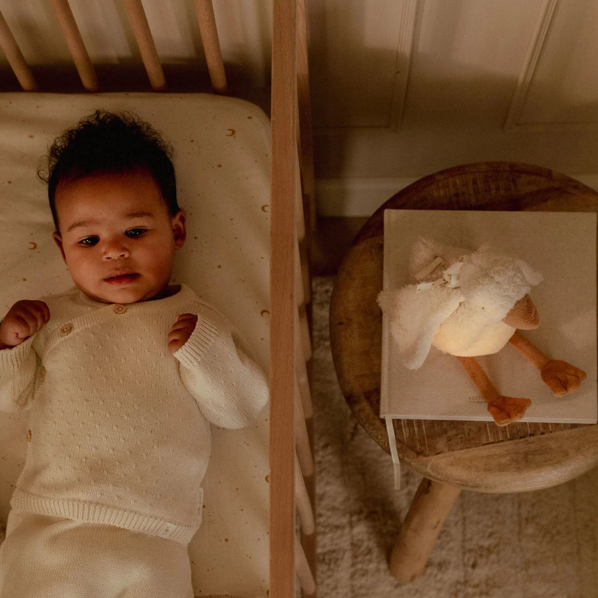 Peluche veilleuse musicale et lumineuse Oie - Newborn