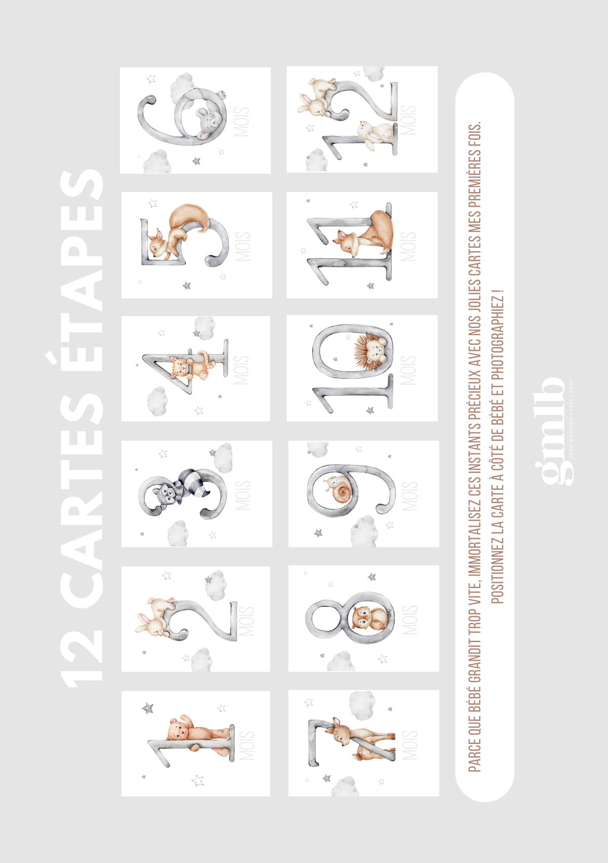 Cartes étapes bébé 12 mois dans les nuages GMLB