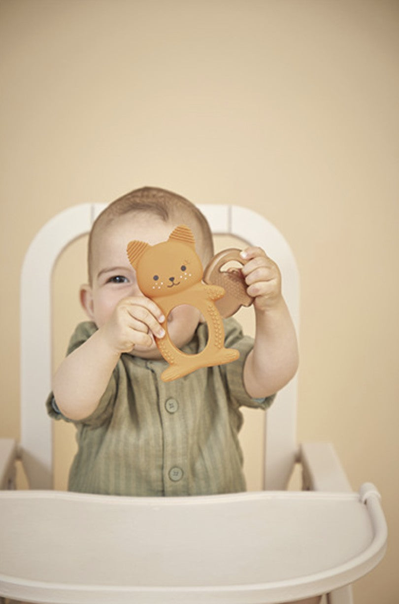 Anneau de dentition réfrigérant bébé – Écureuil