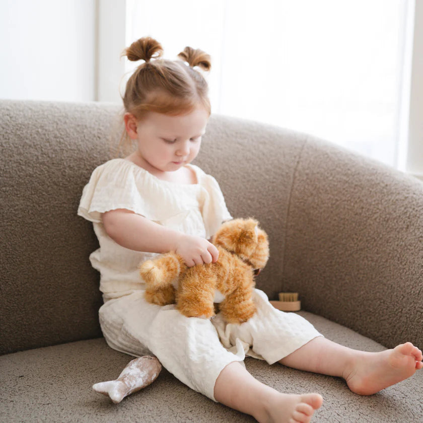 Ensemble Chat Roux – Jouet interactif et éducatif pour enfant