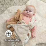 Doudou lapin bébé 27x27 cm – Doudou beige chaud dès la naissance NATTOU