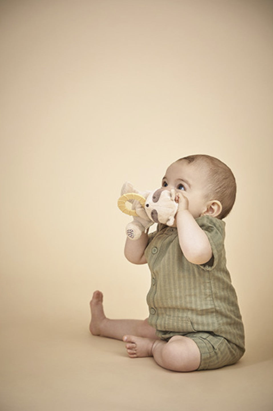 Peluche anneau de dentition bébé – Raton laveur