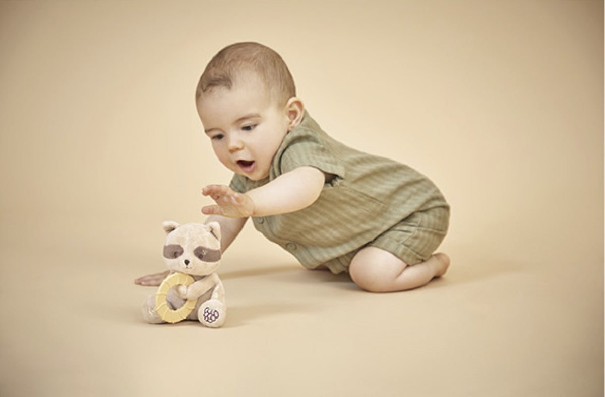 Peluche anneau de dentition bébé – Raton laveur