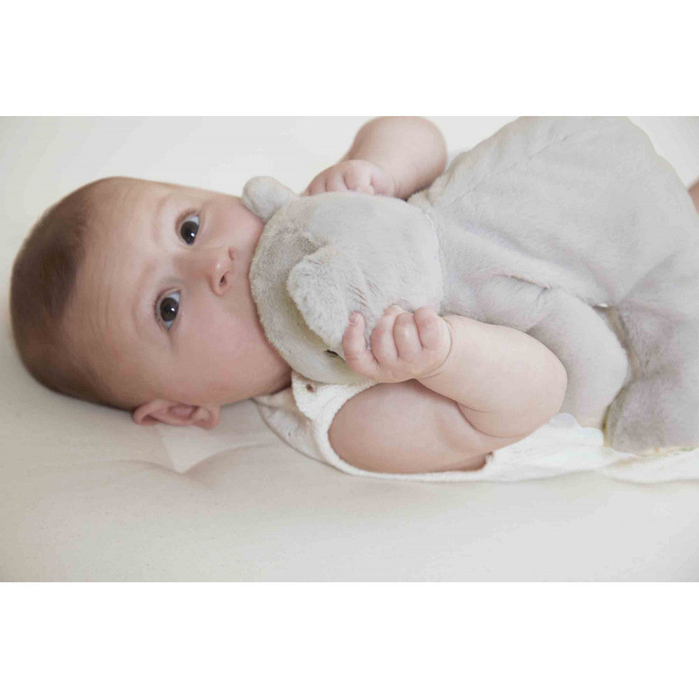 Peluche lestée bébé Koala – 26 cm
