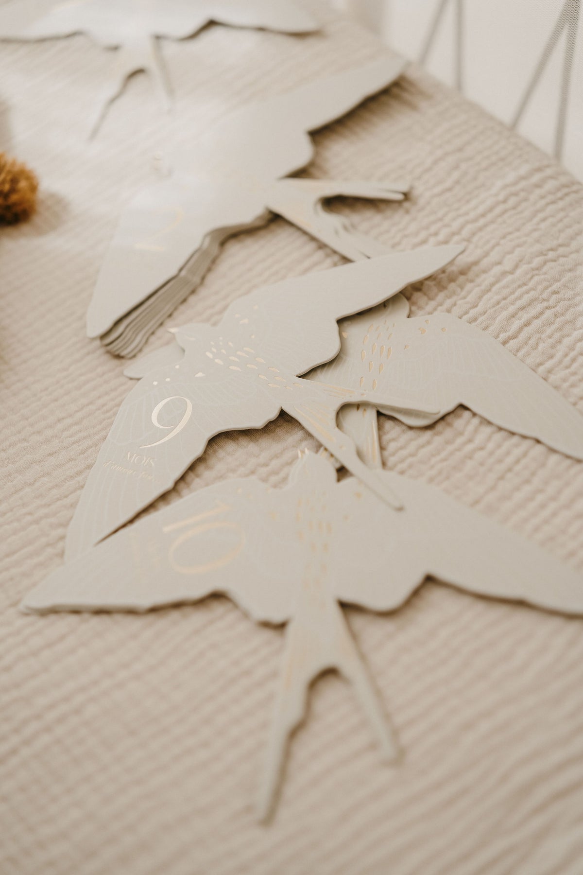 Cartes étapes Birds