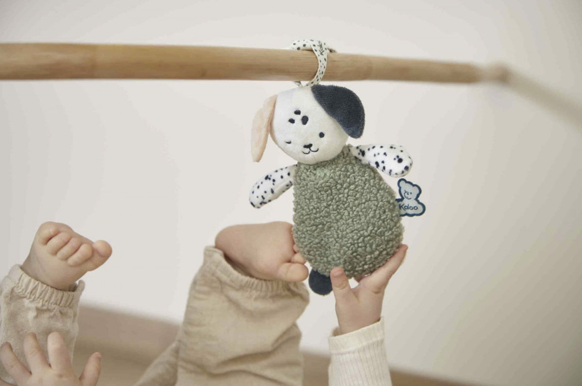 Doudous sensoriels bébé naissance – Set de 3 chiots
