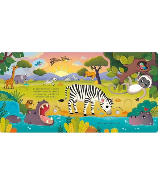 Les Animaux Sauvages – Livre Sonore à Toucher dès 1 an USBORNE