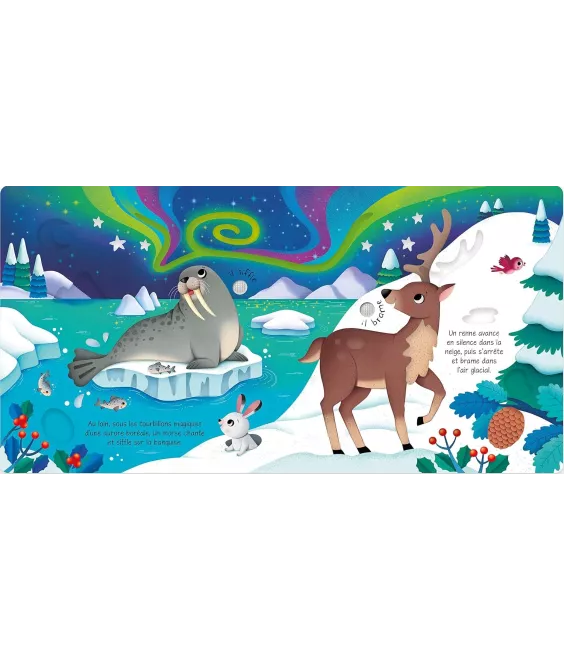 Les Animaux Sauvages – Livre Sonore à Toucher dès 1 an USBORNE