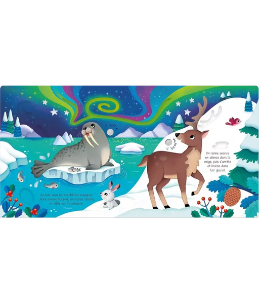 Les Animaux Sauvages – Livre Sonore à Toucher dès 1 an USBORNE