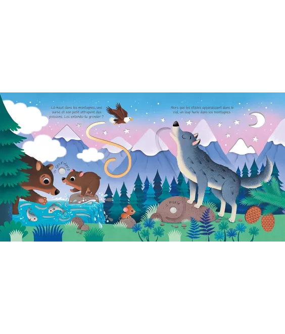 Les Animaux Sauvages – Livre Sonore à Toucher dès 1 an USBORNE