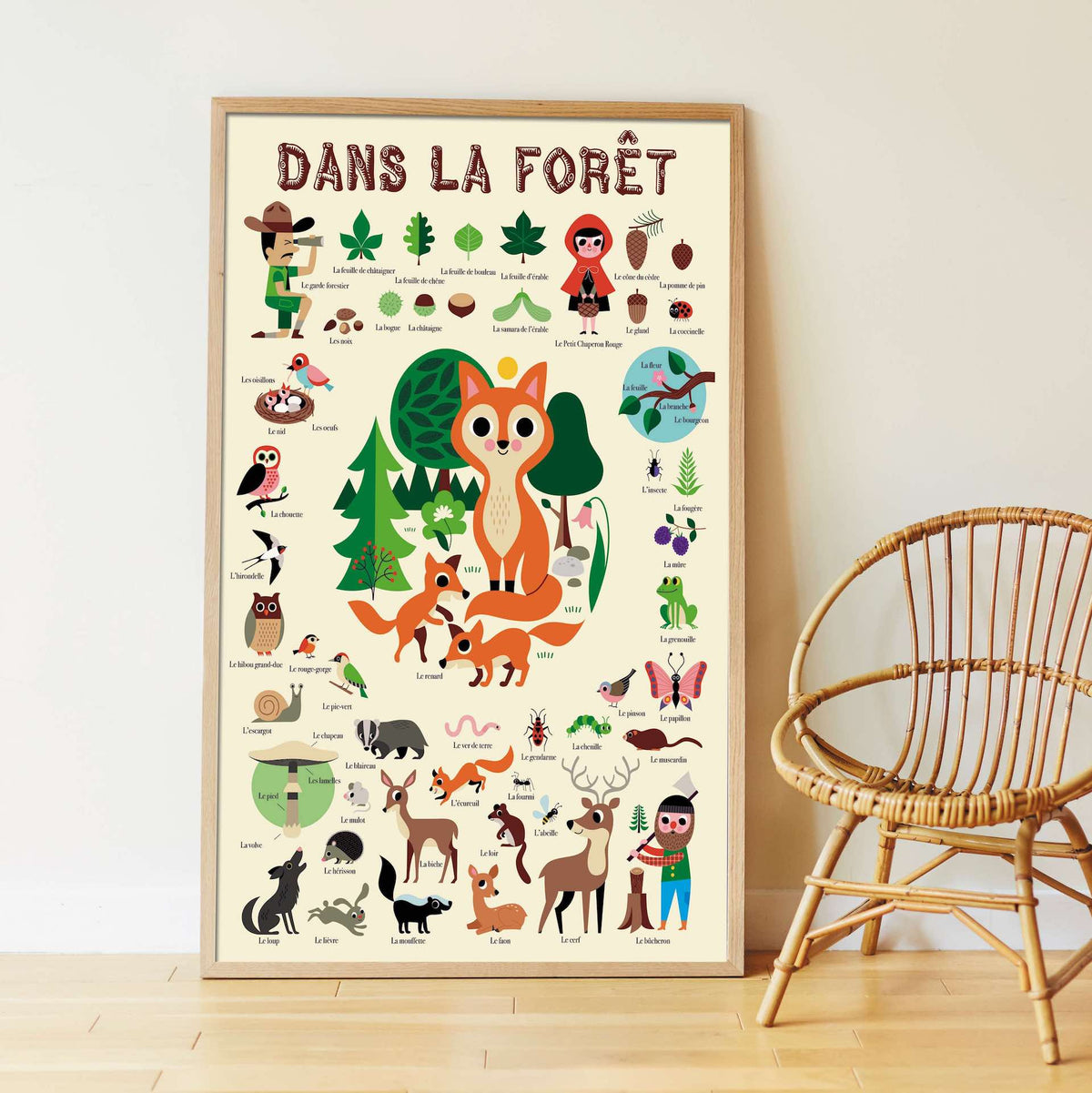3 ans et plus : poster éducatif Discovery Forest
