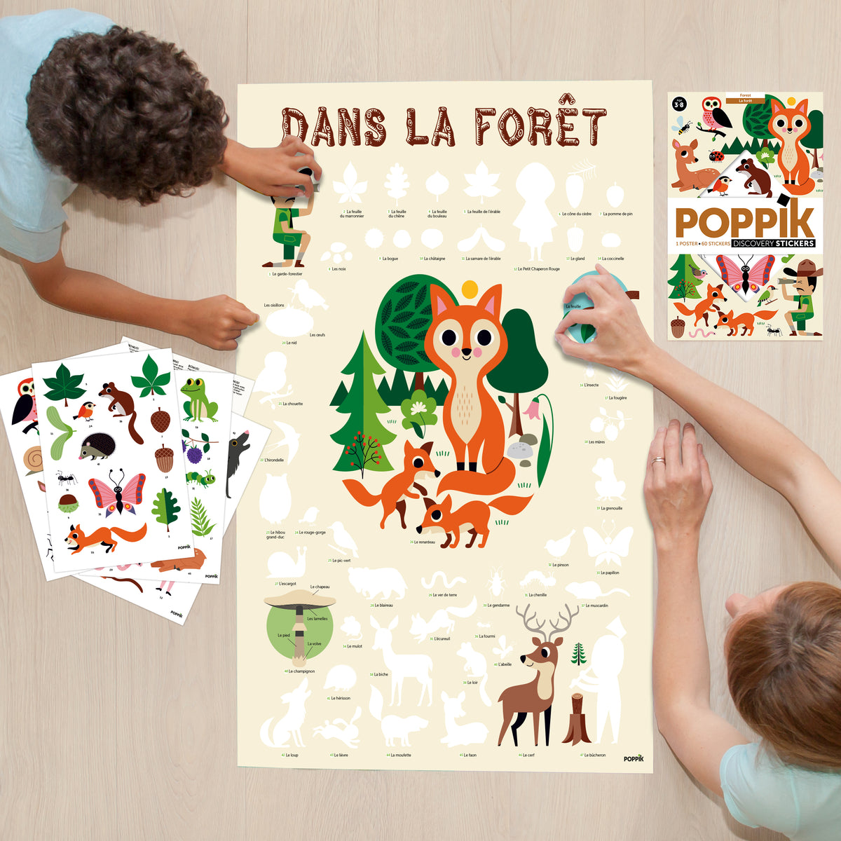 des 3 ans poster éducatif Discovery Forest